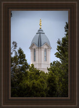 Load image into Gallery viewer, Cedar City Detail