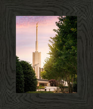 Load image into Gallery viewer, Atlanta Garden