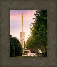 Load image into Gallery viewer, Atlanta Garden