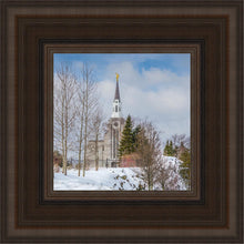 Load image into Gallery viewer, Boston Winter Morning