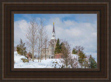 Load image into Gallery viewer, Boston Winter Morning