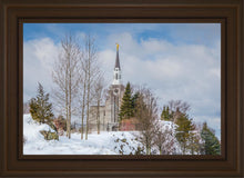 Load image into Gallery viewer, Boston Winter Morning