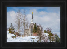 Load image into Gallery viewer, Boston Winter Morning