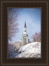 Load image into Gallery viewer, Boston Morning Snow Vertical