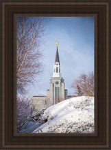 Load image into Gallery viewer, Boston Morning Snow Vertical