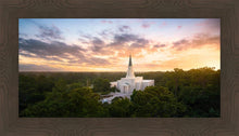 Load image into Gallery viewer, Houston from on High