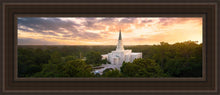 Load image into Gallery viewer, Houston from on High