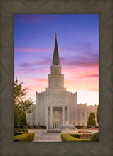 Load image into Gallery viewer, Houston Walk in the Light