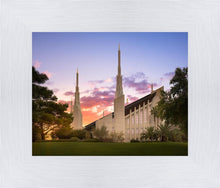 Load image into Gallery viewer, Las Vegas Desert Rose