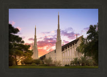 Load image into Gallery viewer, Las Vegas Desert Rose