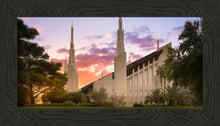 Load image into Gallery viewer, Las Vegas Desert Rose