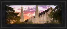 Load image into Gallery viewer, Las Vegas Desert Rose