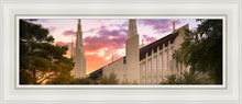 Load image into Gallery viewer, Las Vegas Desert Rose