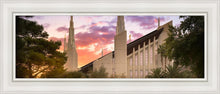Load image into Gallery viewer, Las Vegas Desert Rose