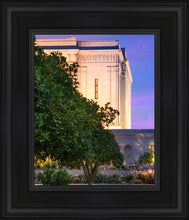 Load image into Gallery viewer, Mesa Temple Living Heritages