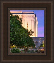 Load image into Gallery viewer, Mesa Temple Living Heritages