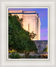 Load image into Gallery viewer, Mesa Temple Living Heritages