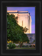 Load image into Gallery viewer, Mesa Temple Living Heritages