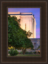 Load image into Gallery viewer, Mesa Temple Living Heritages