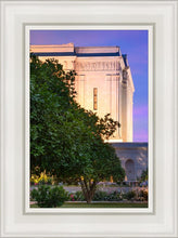 Load image into Gallery viewer, Mesa Temple Living Heritages