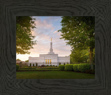 Load image into Gallery viewer, Nashville Trees