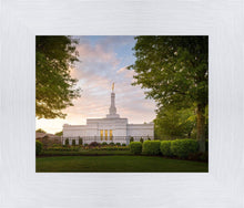 Load image into Gallery viewer, Nashville Trees