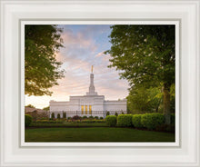 Load image into Gallery viewer, Nashville Trees