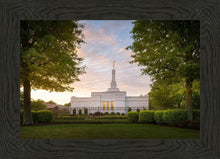 Load image into Gallery viewer, Nashville Trees