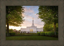 Load image into Gallery viewer, Nashville Trees