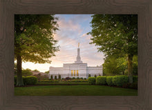 Load image into Gallery viewer, Nashville Trees