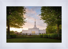 Load image into Gallery viewer, Nashville Trees