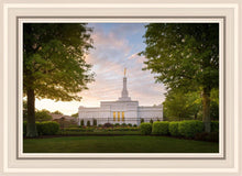 Load image into Gallery viewer, Nashville Trees