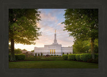 Load image into Gallery viewer, Nashville Trees