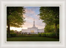 Load image into Gallery viewer, Nashville Trees