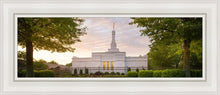 Load image into Gallery viewer, Nashville Trees