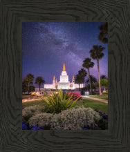 Load image into Gallery viewer, Oakland Starry Eyed