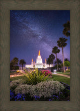 Load image into Gallery viewer, Oakland Starry Eyed