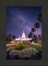 Load image into Gallery viewer, Oakland Starry Eyed