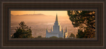 Load image into Gallery viewer, Golden Oakland