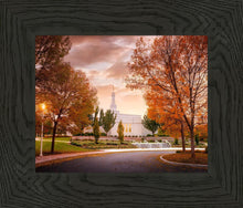 Load image into Gallery viewer, Palmyra Autumn