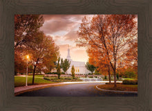 Load image into Gallery viewer, Palmyra Autumn