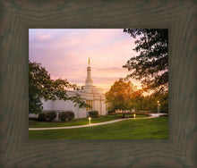 Load image into Gallery viewer, Palmyra Oh How Lovely was the Morning