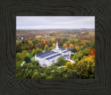 Load image into Gallery viewer, Palmyra and Sacred Grove Aerial