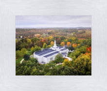 Load image into Gallery viewer, Palmyra and Sacred Grove Aerial