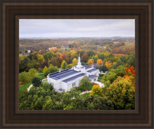 Load image into Gallery viewer, Palmyra and Sacred Grove Aerial