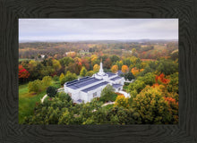 Load image into Gallery viewer, Palmyra and Sacred Grove Aerial