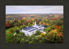 Load image into Gallery viewer, Palmyra and Sacred Grove Aerial