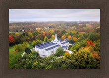Load image into Gallery viewer, Palmyra and Sacred Grove Aerial