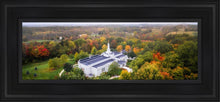 Load image into Gallery viewer, Palmyra and Sacred Grove Aerial