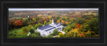 Load image into Gallery viewer, Palmyra and Sacred Grove Aerial